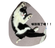 698811312
