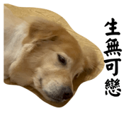 698932912