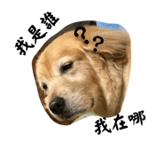 698932925