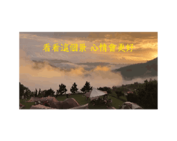 698950626