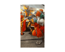 698950630
