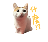 698967308