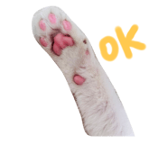 698967310