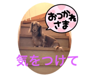 699017323