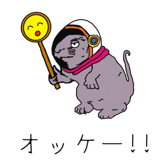 699026513