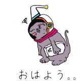 699026517