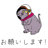 699026519