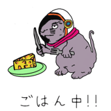 699026520