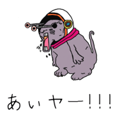 699026521