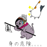 699026526