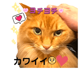 699035276