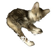 699041678