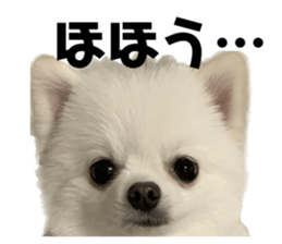 699044913