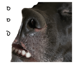 699053624