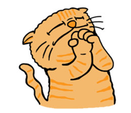 699080