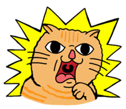 699081