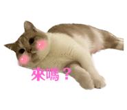 699179143