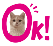 699179144