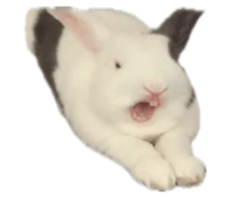 699181154