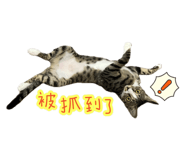 699201630