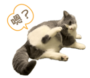 699205800