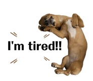 699215791