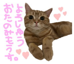 699237459