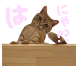 699237461