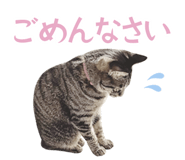 699243412