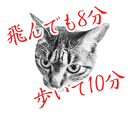 699243416