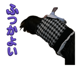 699253020