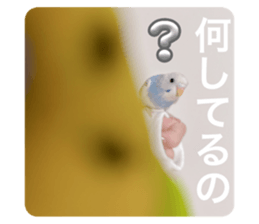 699253829