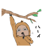 699280194