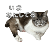 699308263
