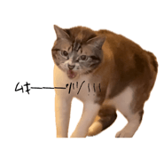 699308265