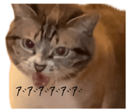 699308266