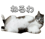 699308276