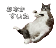 699308277