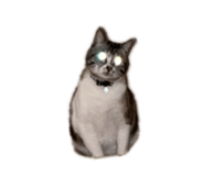 699308280