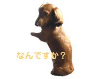 699428194