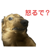 699428198
