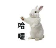 699432558