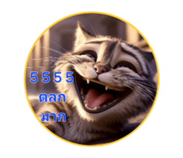 699452956