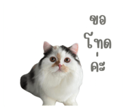 699457834