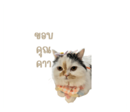699457846