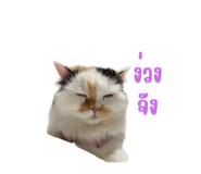 699457848