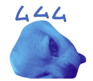 699554456