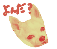 699554463
