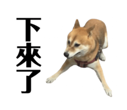 699556484