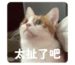 699567272